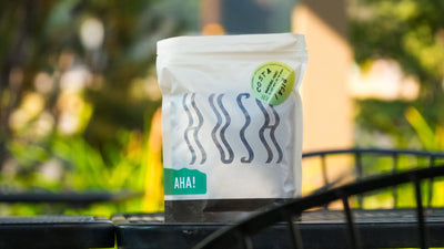 Costa Rica- Cerro San Luis SL-28, Anaerobic Honey